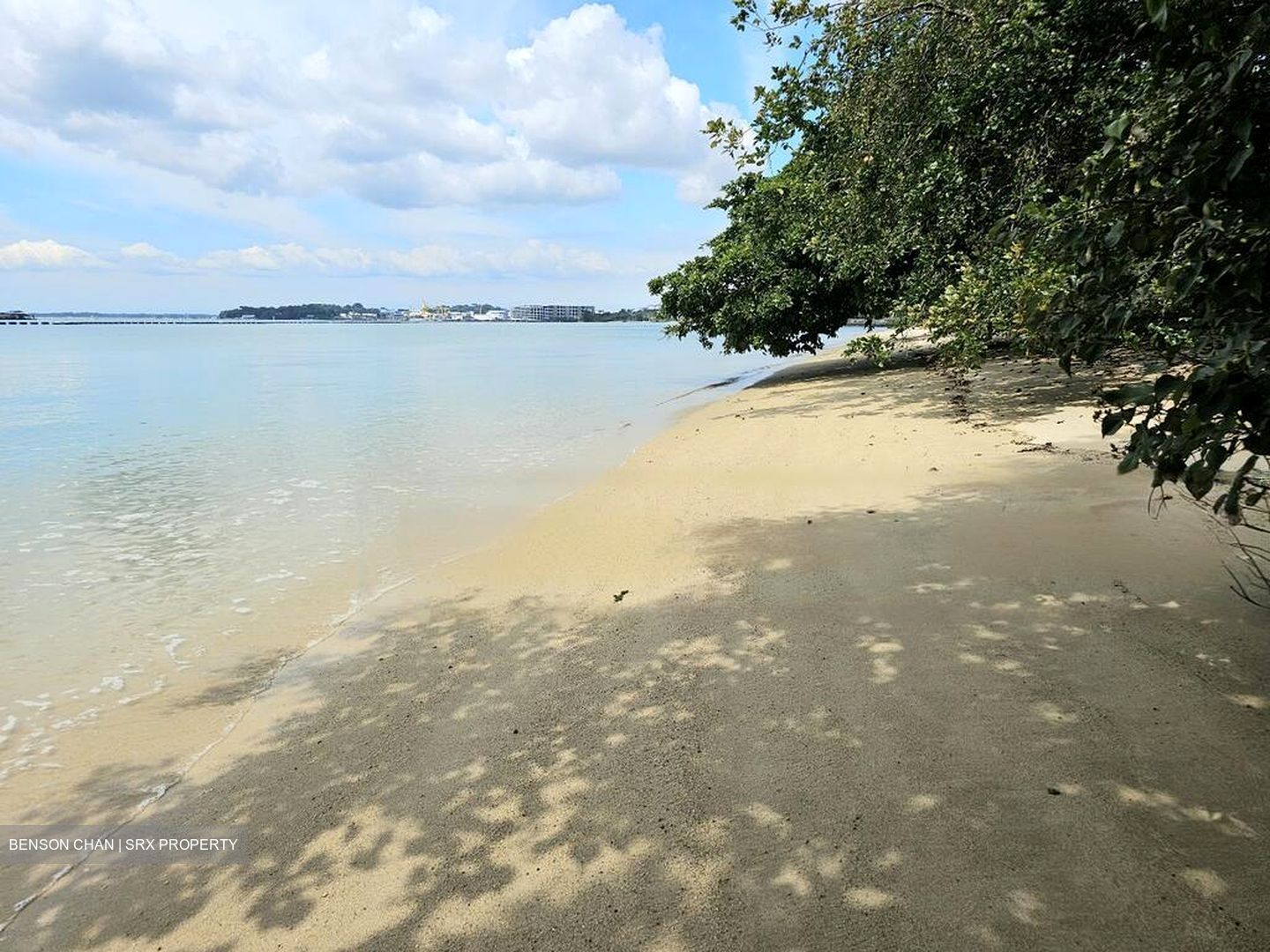 Pasir Ris Beach Park (D18), Semi-Detached #481275561